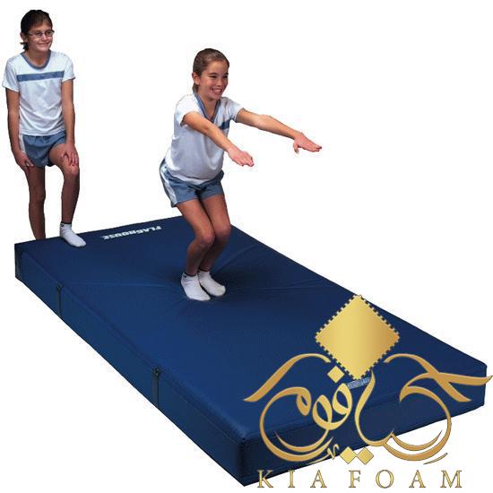 تشک ایمنی 2 تشک ایمنی